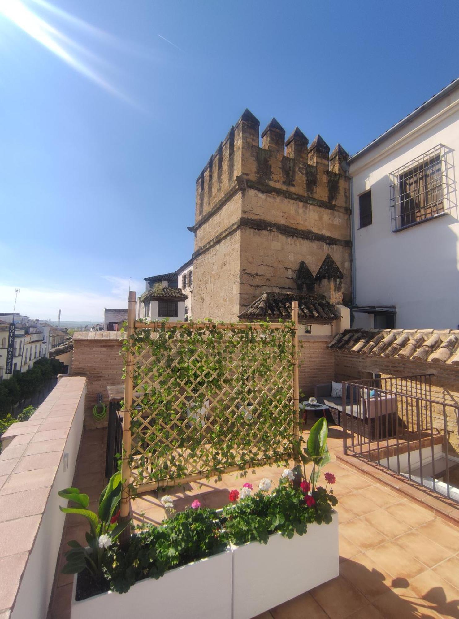 La Muralla De San Fernando De Córdoba Exteriör bild